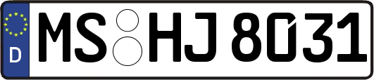 MS-HJ8031