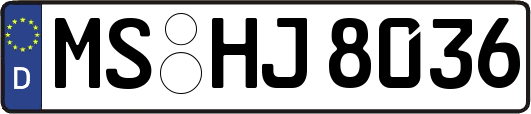 MS-HJ8036