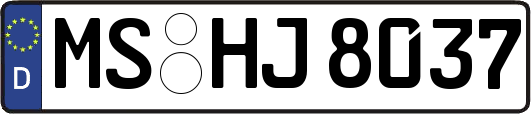 MS-HJ8037