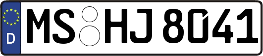 MS-HJ8041