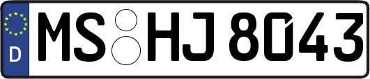 MS-HJ8043