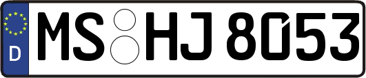 MS-HJ8053