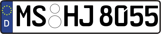 MS-HJ8055