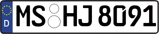 MS-HJ8091