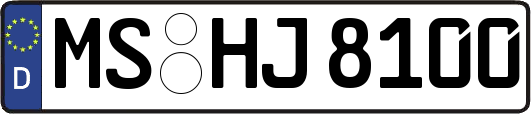 MS-HJ8100