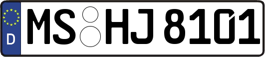 MS-HJ8101