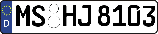 MS-HJ8103