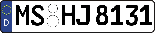 MS-HJ8131