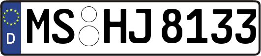 MS-HJ8133