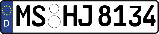 MS-HJ8134