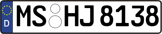 MS-HJ8138