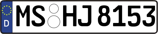 MS-HJ8153