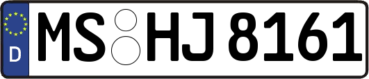 MS-HJ8161