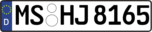 MS-HJ8165