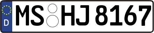 MS-HJ8167