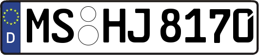 MS-HJ8170