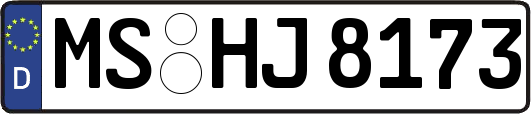 MS-HJ8173