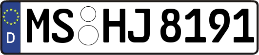 MS-HJ8191