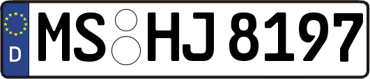 MS-HJ8197