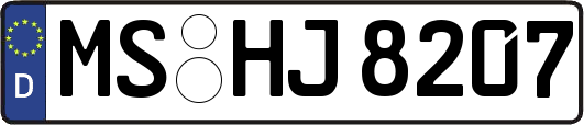 MS-HJ8207