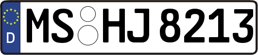 MS-HJ8213