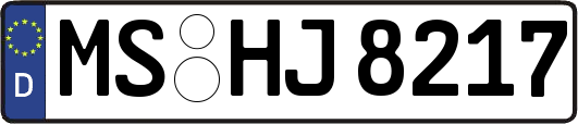 MS-HJ8217