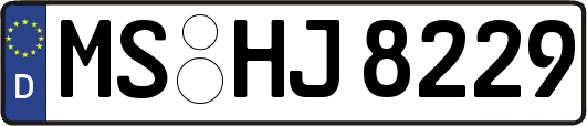 MS-HJ8229