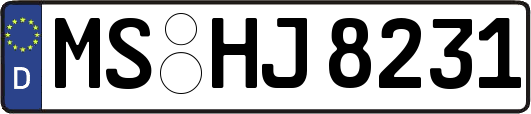 MS-HJ8231