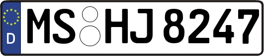 MS-HJ8247