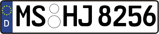 MS-HJ8256