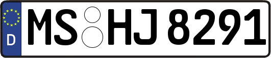 MS-HJ8291
