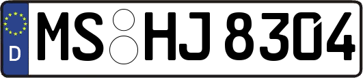 MS-HJ8304