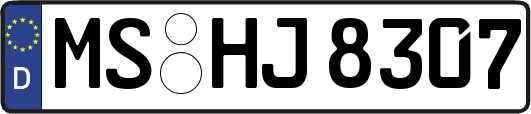 MS-HJ8307