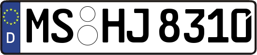MS-HJ8310