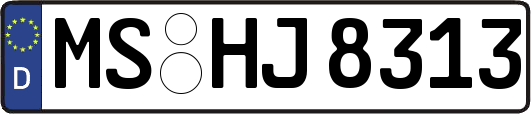 MS-HJ8313