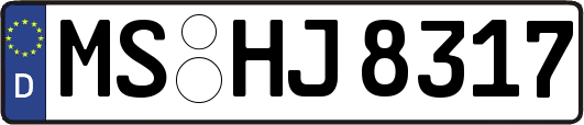 MS-HJ8317