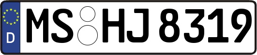 MS-HJ8319