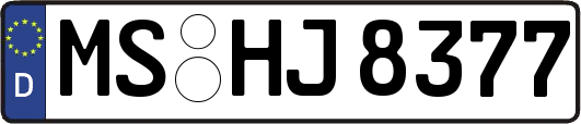 MS-HJ8377