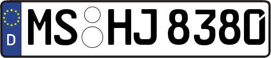 MS-HJ8380
