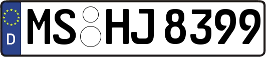 MS-HJ8399