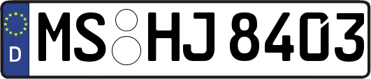 MS-HJ8403