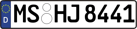 MS-HJ8441
