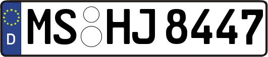 MS-HJ8447