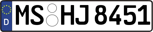MS-HJ8451