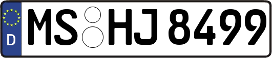MS-HJ8499