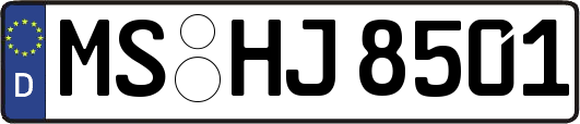 MS-HJ8501
