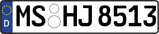 MS-HJ8513