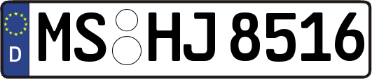 MS-HJ8516