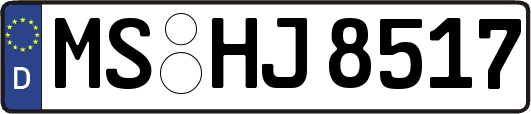 MS-HJ8517