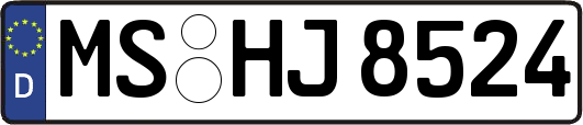MS-HJ8524